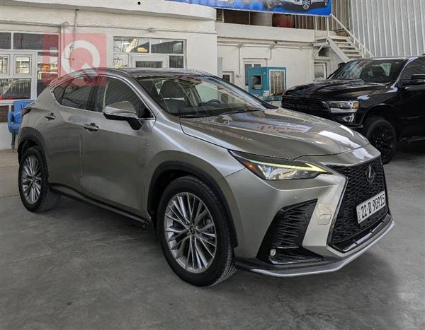 لێکزس NX 2022  بۆ فرۆشتن لە عێراق - نەجەف